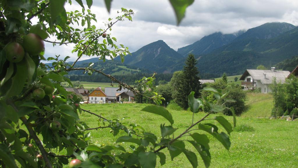 Gaestehaus Zum Steirischen Kuss アイヒ エクステリア 写真